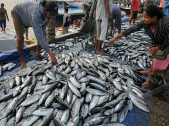 Transaksi Tangkapan Ikan Laut di Pati Mencapai Rp722,2 Miliar